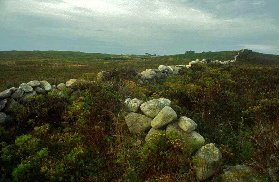 Southern Moors