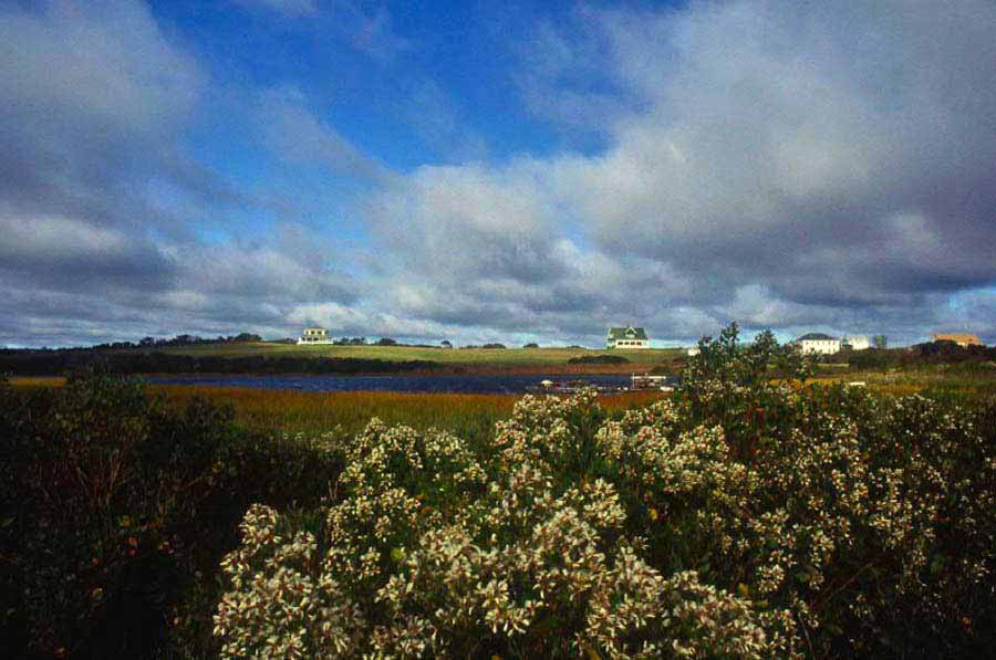 Indian Head Neck