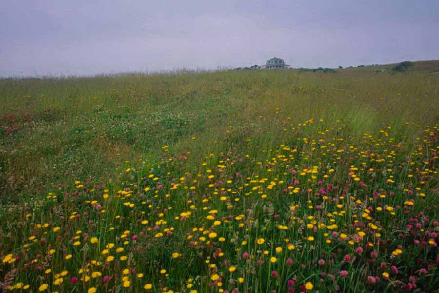 Indian Head Neck