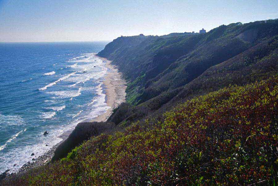 Monhegan Bluffs