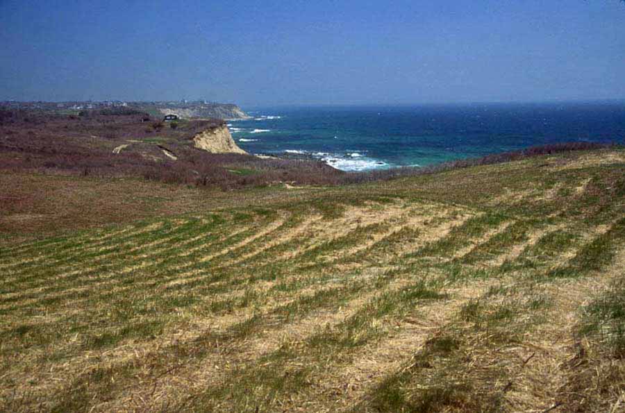 Black Rock Point