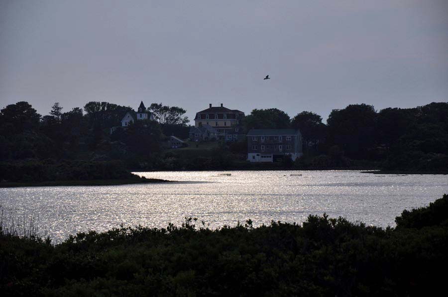 Harbor Pond