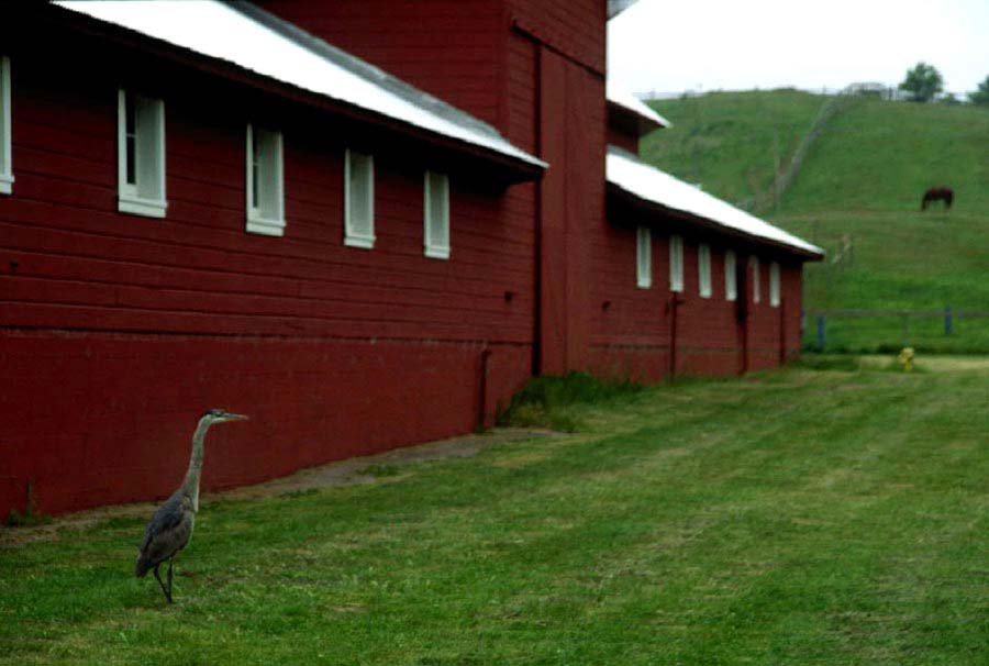 Bear Valley Ranch