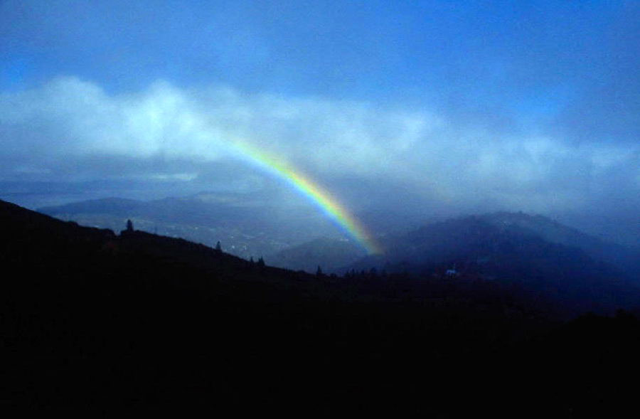 Mt. Tam