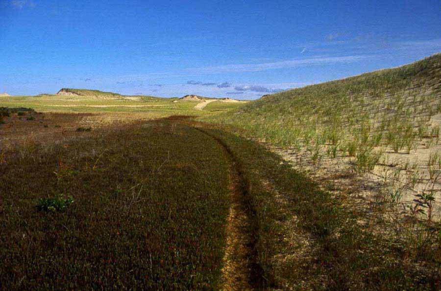 Parabolic Dunes