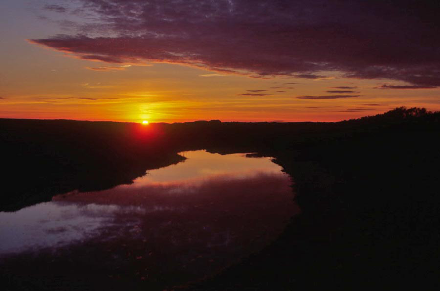 Herring Cove