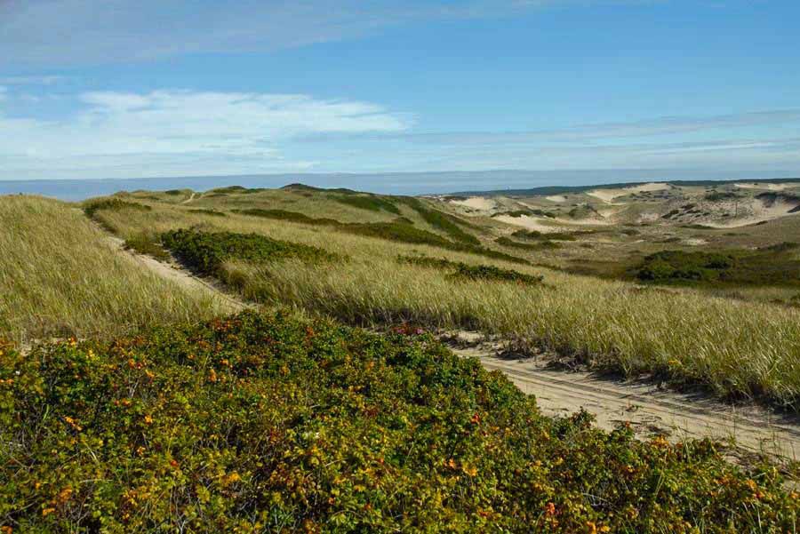 Parabolic Dunes