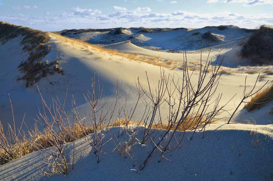 Parabolic Dunes