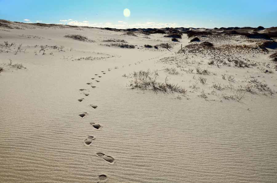 Parabolic Dunes