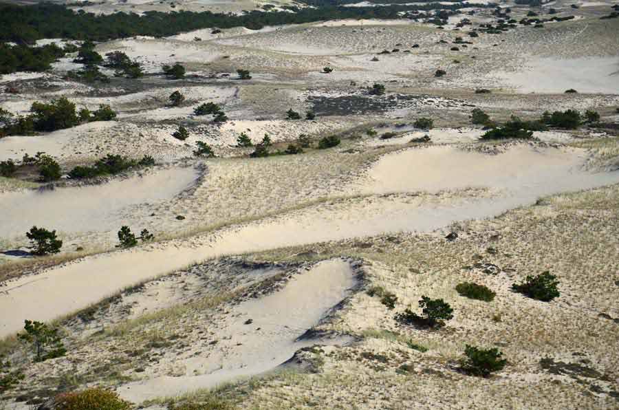 Parabolic Dunes