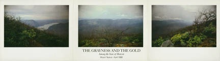 Photograph - The Grayness and the Gold