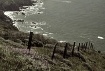 Point Reyes & The Headlands