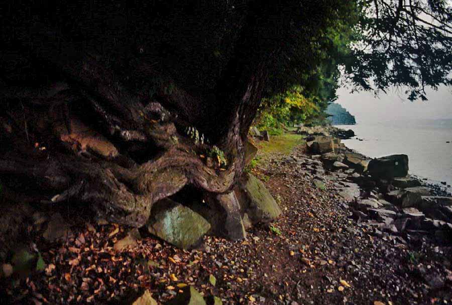 Near Huyler Landing