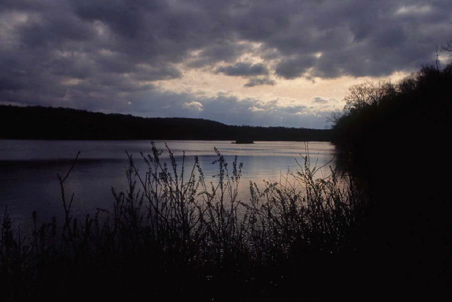 Bear Swamp Lake