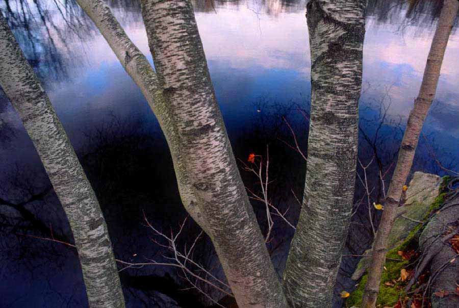 Furgusons Lake