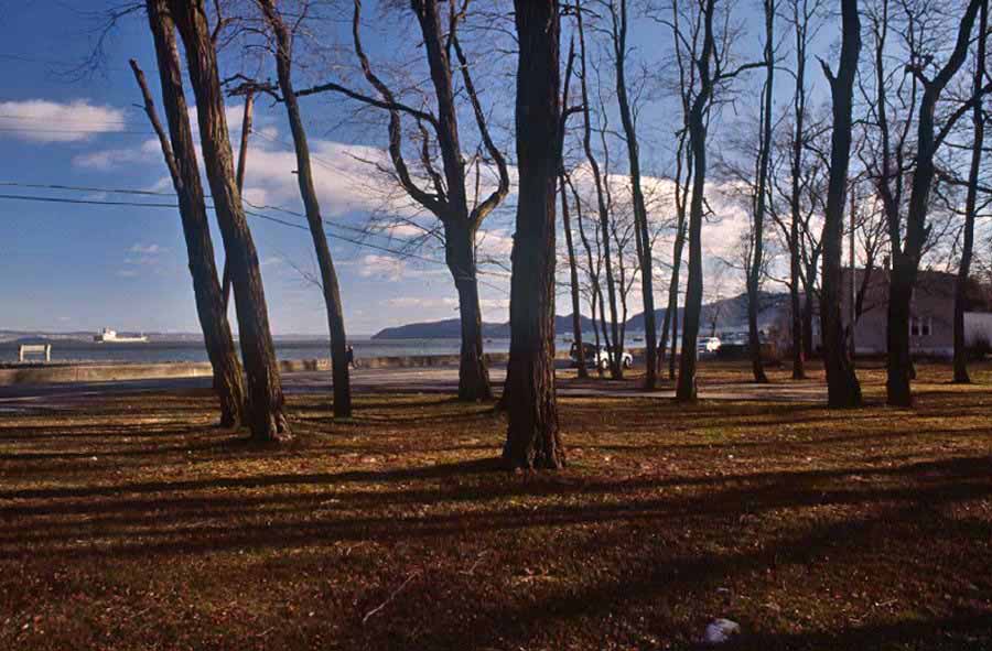 Grassy Point