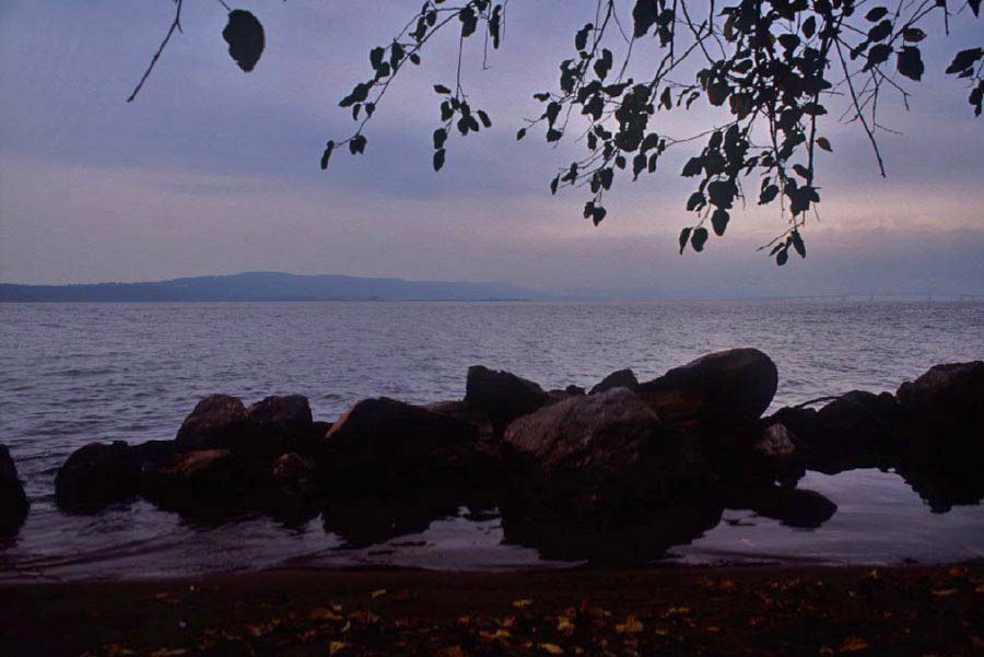 Wickers Creek