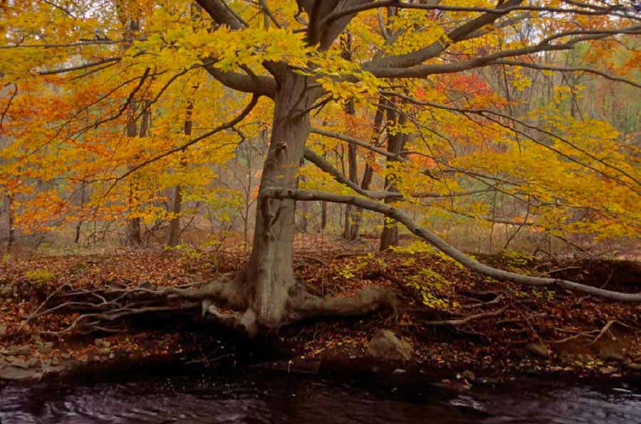 Pocantico River