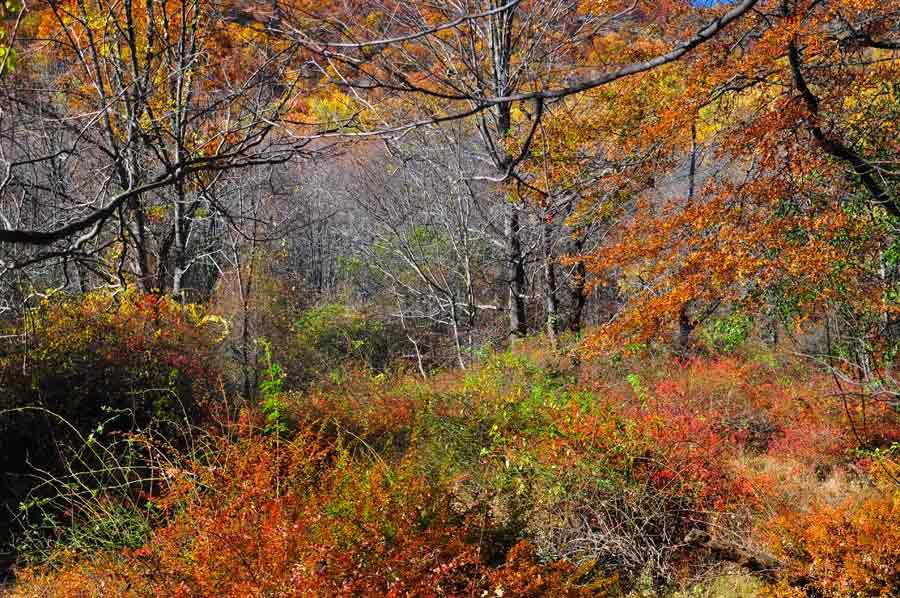 Breakneck Valley