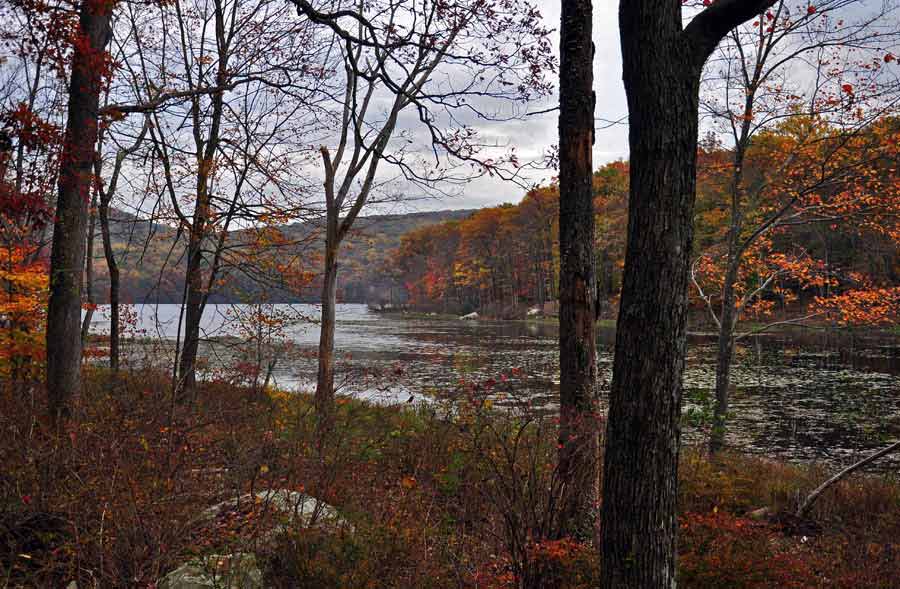 Silvermine Lake