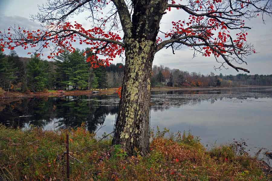 Ulster Heights Lake