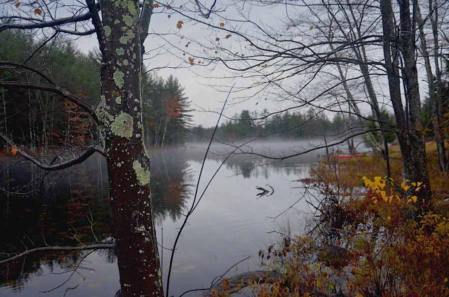 Ulster Heights Lake