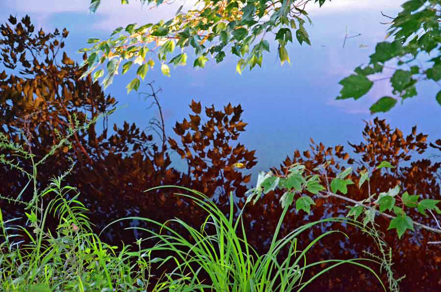 Ulster Heights Lake