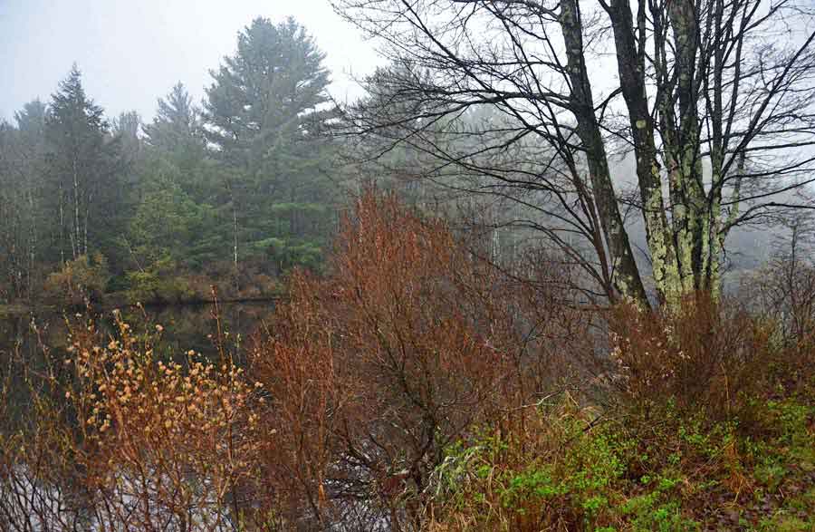 Upper Ulster Lake