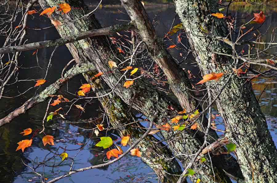 Upper Ulster Lake