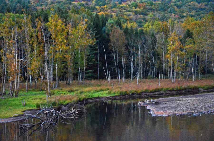 Rondout Creek