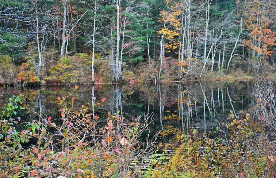 Upper Ulster Lake