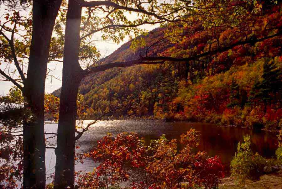 The Tarn