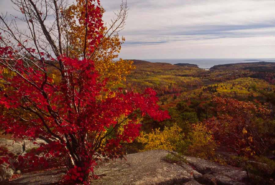 Champlain Mountain