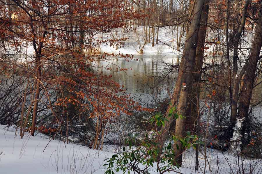 Oakland Lake