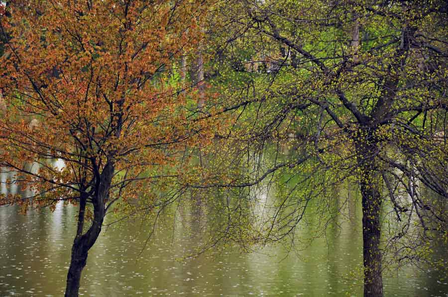 Kissena Lake