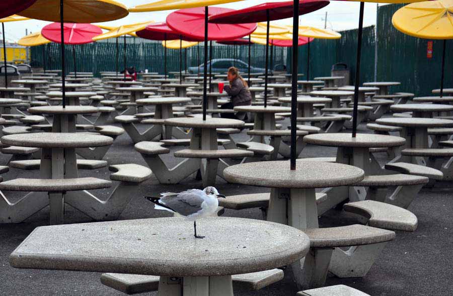 Coney Island