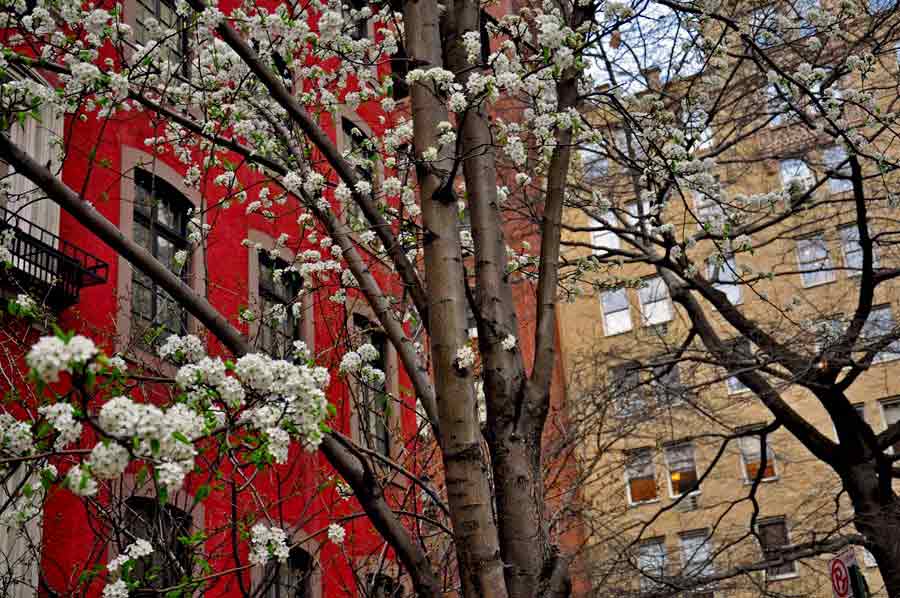 Gramercy Park