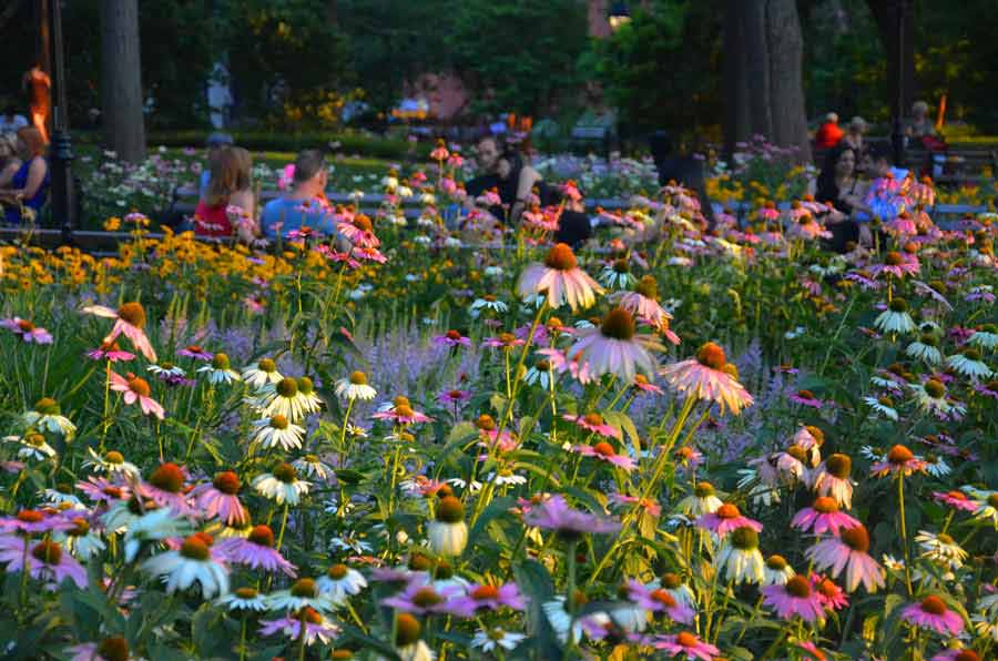 Washington Square