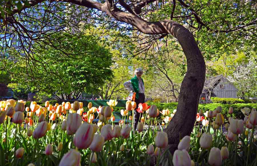 Gramercy Park