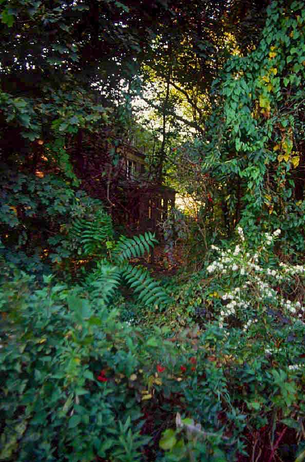 Snug Harbor