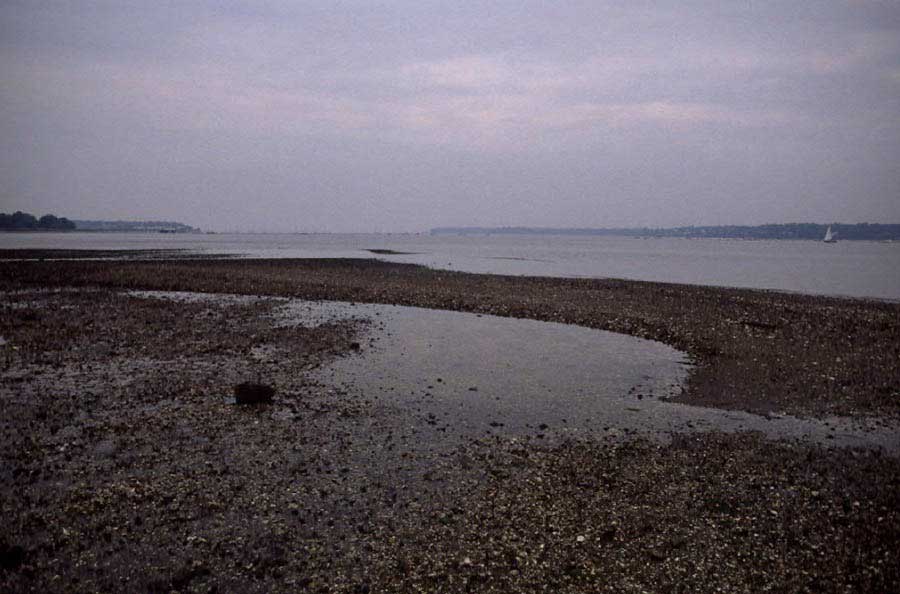 Little Neck Bay