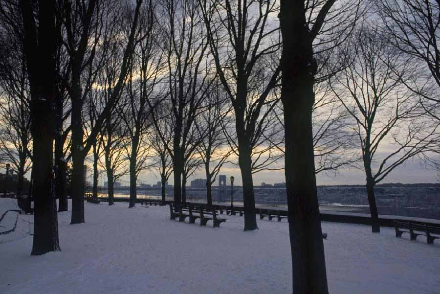 Fort Tryon Park