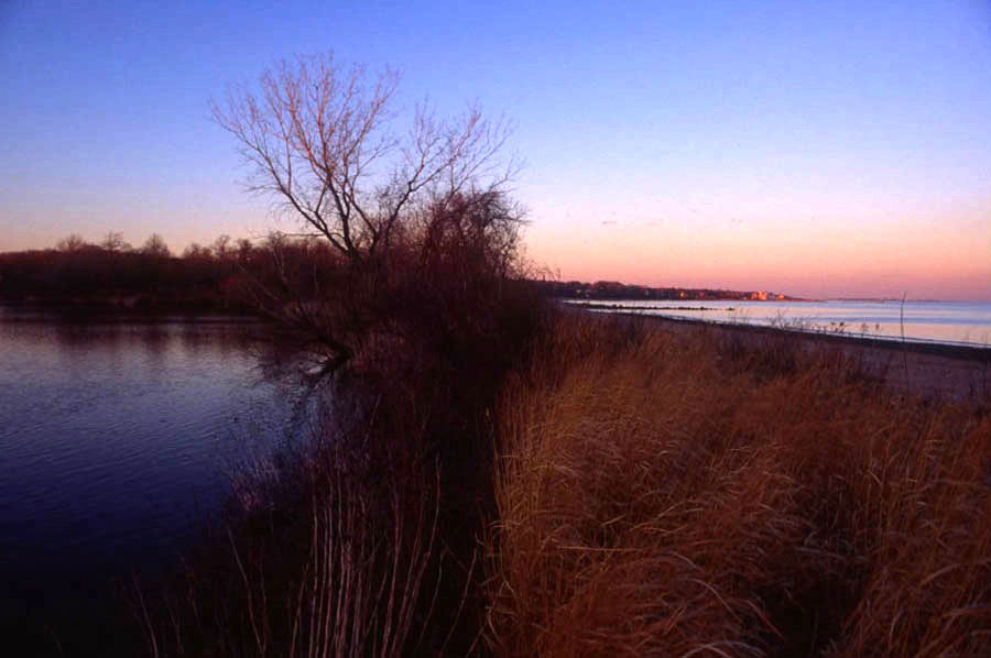 Wolfes Pond