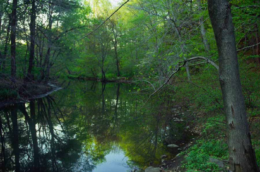 Bronx River