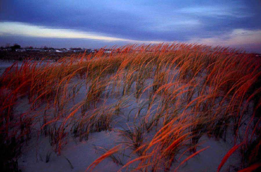 Breezy Point