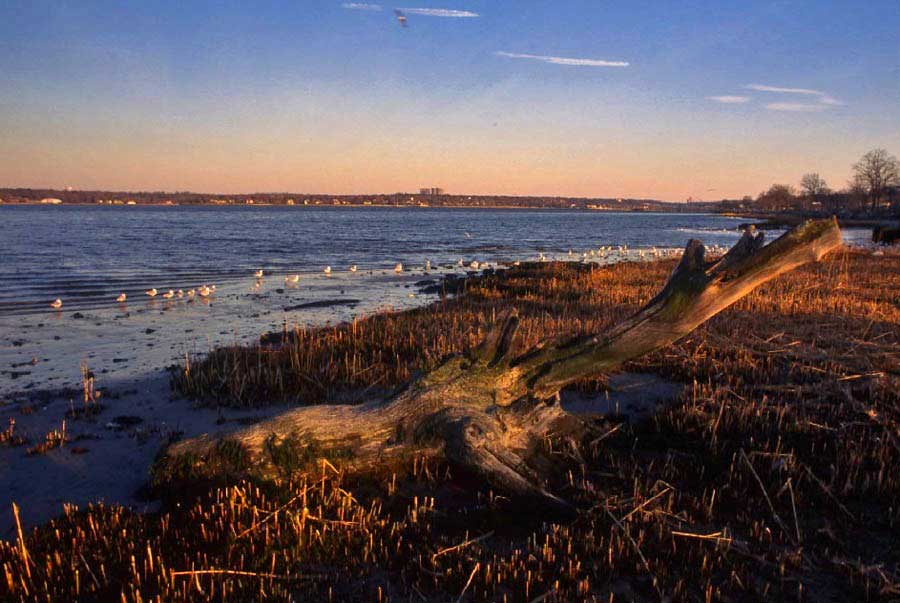 Little Neck Bay