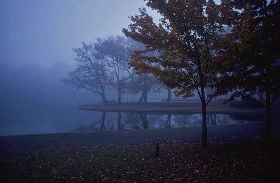 Kissena Lake