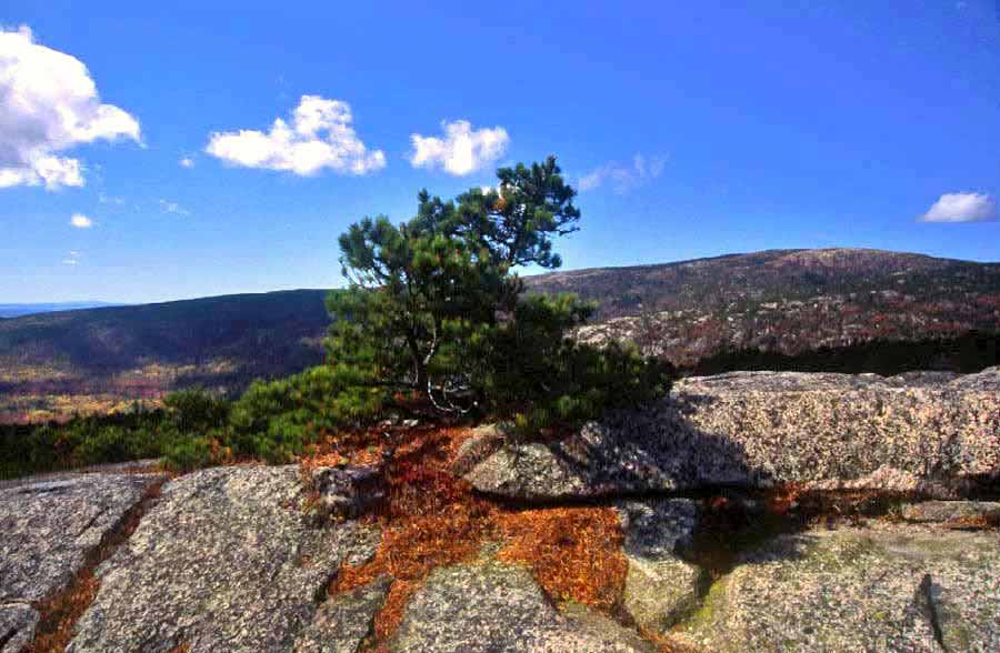 Champlain Mountain