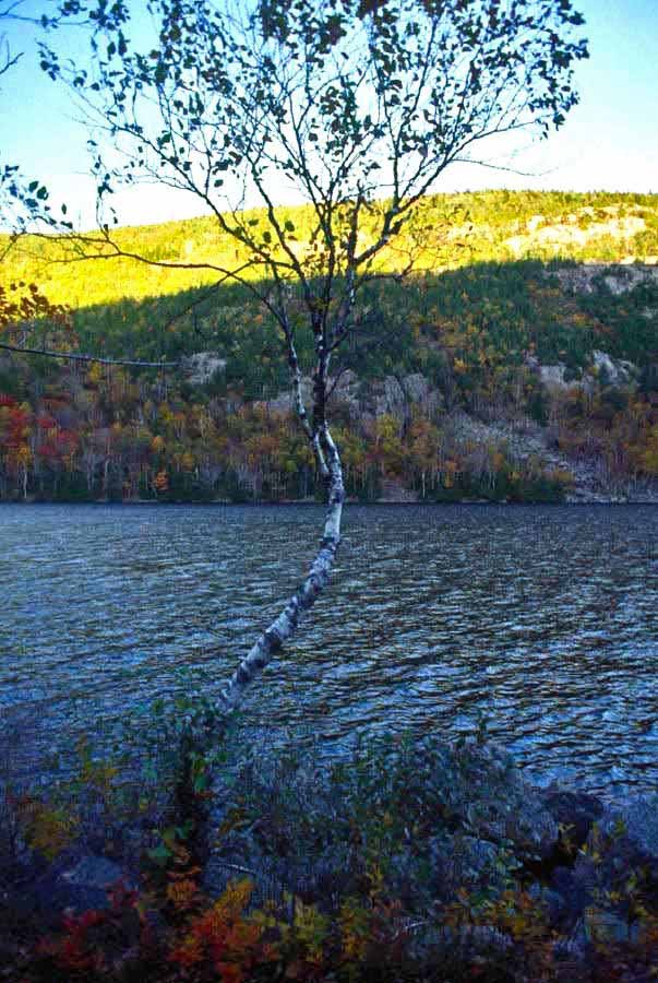 Jordan Pond