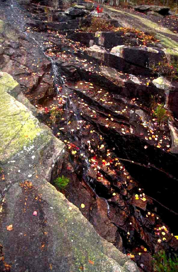 Cascade Trail